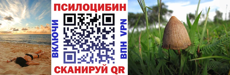 Псилоцибиновые грибы Psilocybine cubensis  Касимов 